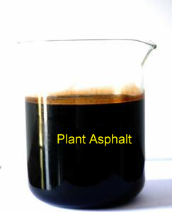 Plant Asphalt